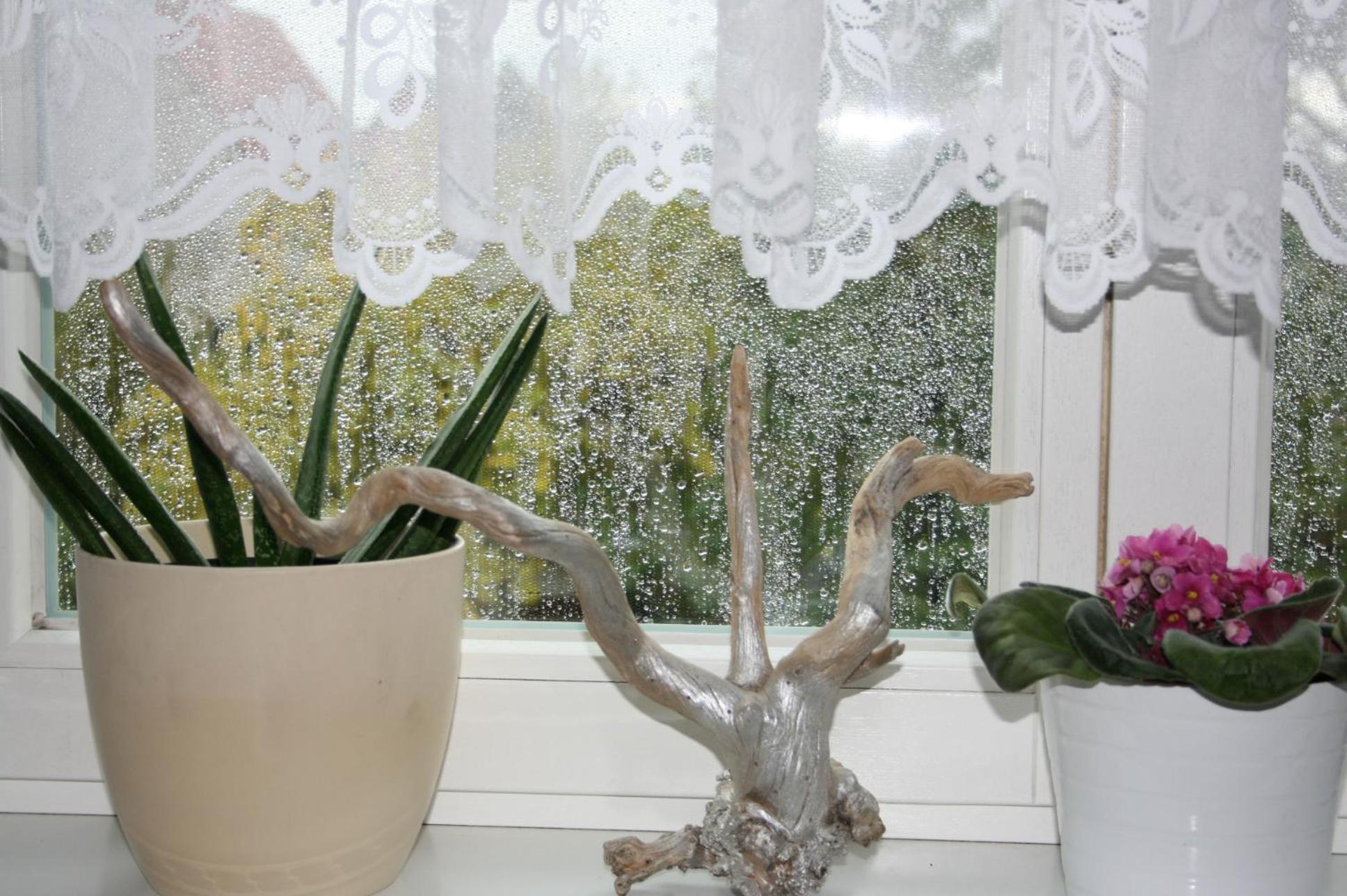 Ferien Oase Am Ber Apartment Schoenefeld Luaran gambar