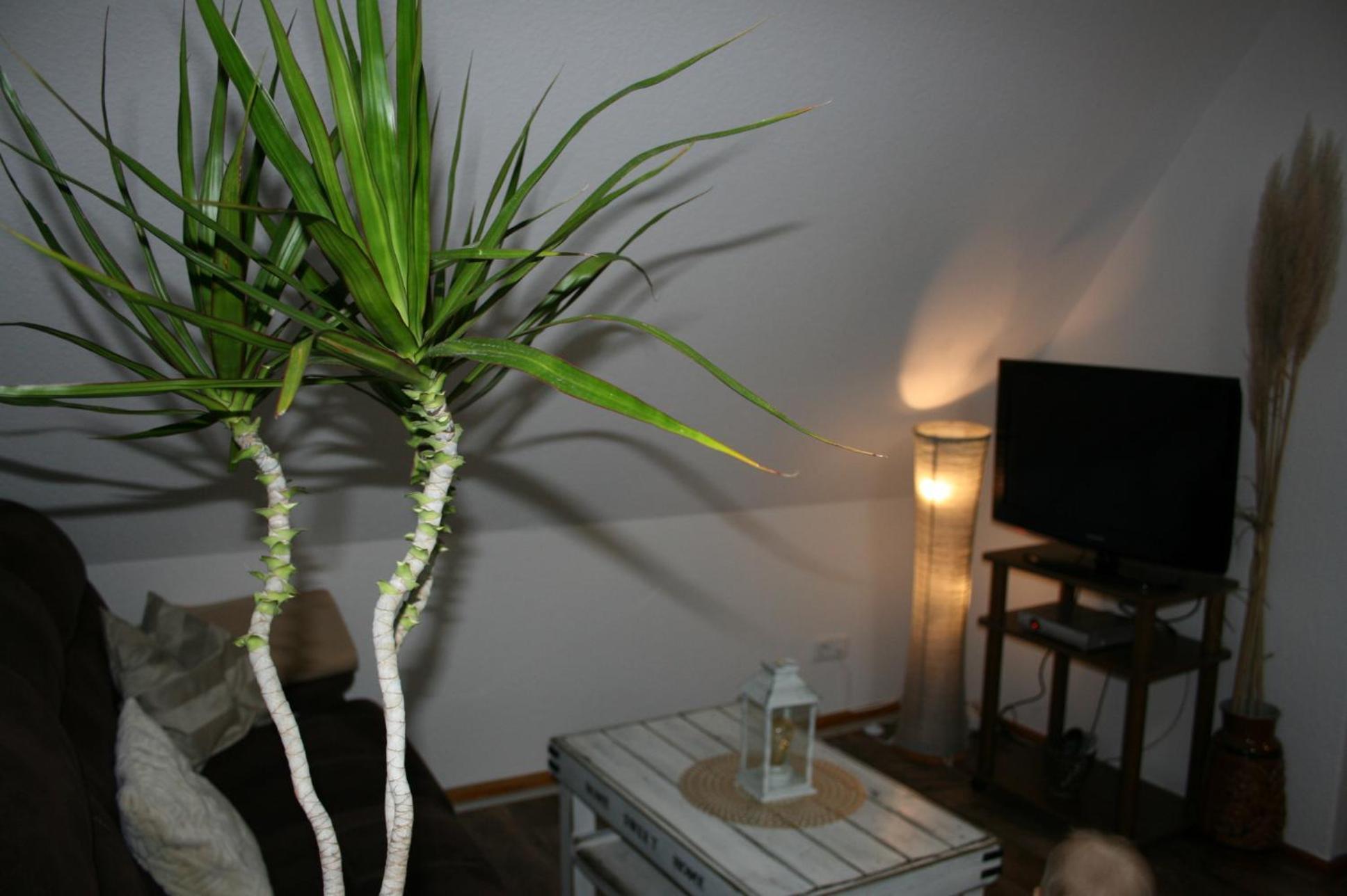 Ferien Oase Am Ber Apartment Schoenefeld Luaran gambar