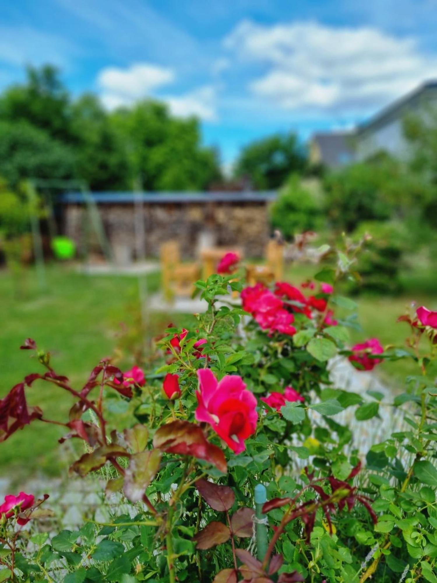 Ferien Oase Am Ber Apartment Schoenefeld Luaran gambar
